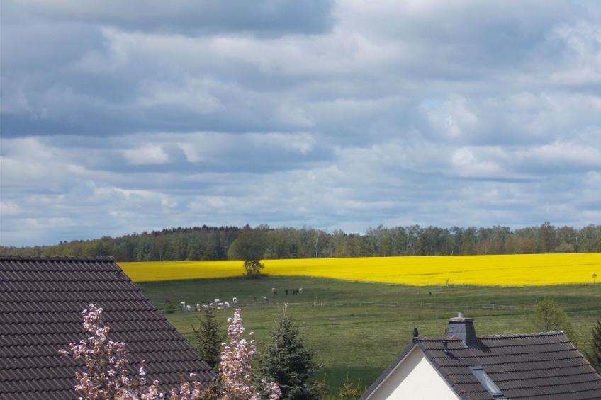 Haus Heidi - foto 20
