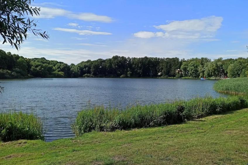 Fewo Päpke - foto 26