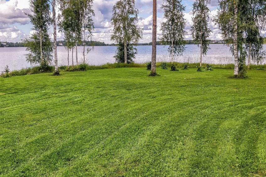 Inninniemi - foto 27