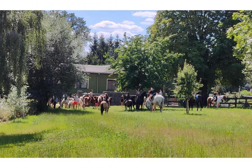 TH3 1P 40€(5) Schulz - foto 12