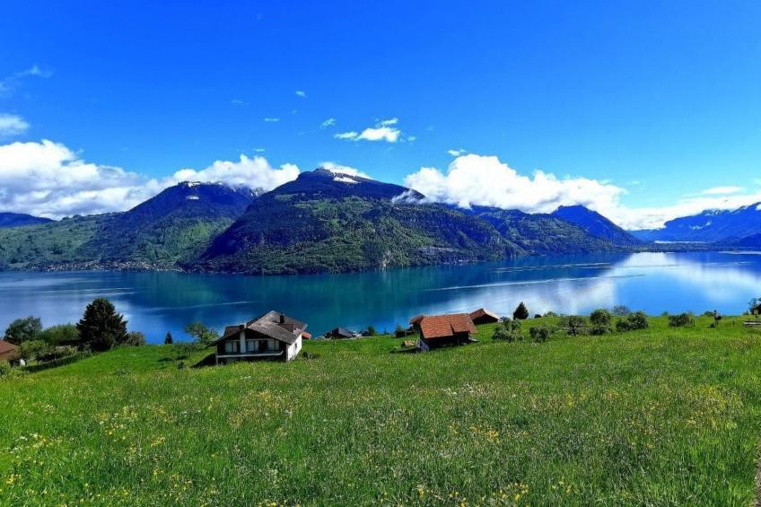 Traumblick Krattigen - foto 30