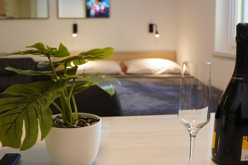 Cozy and Chic Apartment in Kranjska Gora - Studio Apartment - foto 7