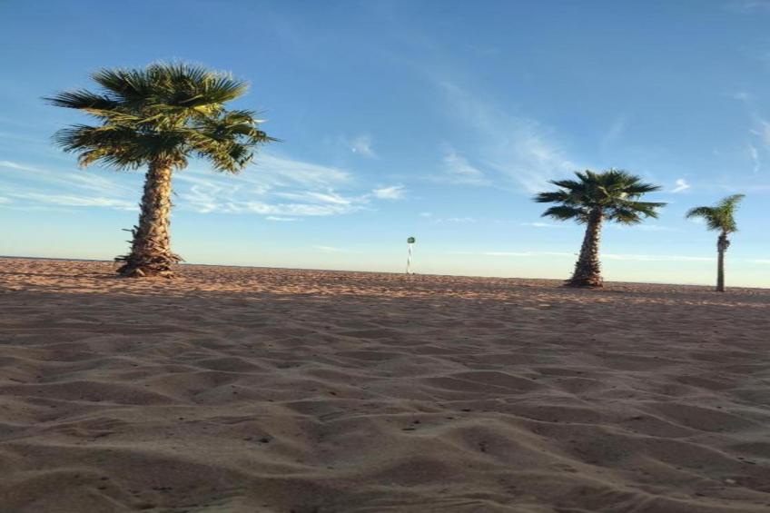 La Dune N°32 - Villa 2P4 - foto 22