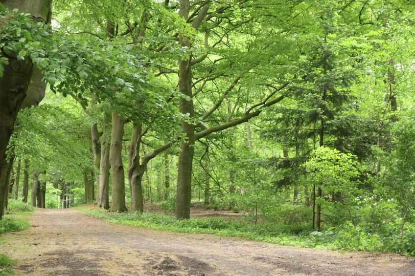 Landelijk Gelegen - foto 6