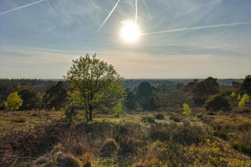 Park Haarle - foto 26