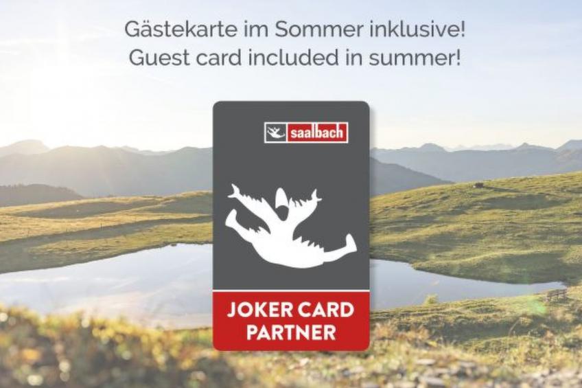 BERGZEIT Appartement Top 2 - foto 21