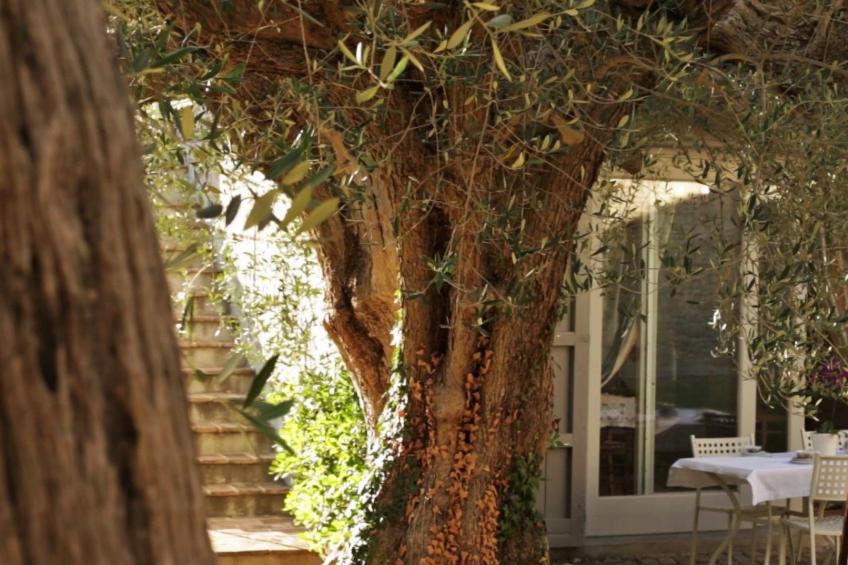 In einem Bauernhaus in den Hügeln, mit Garten und Pool - foto 2