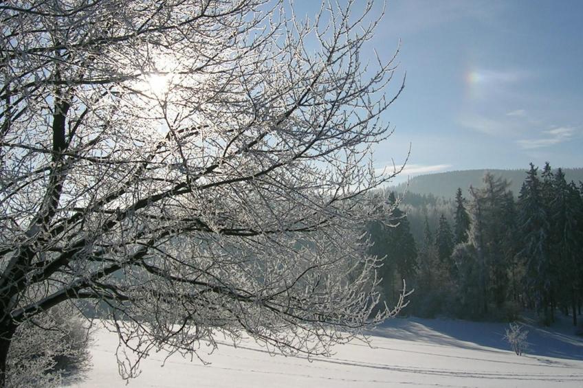Kleine, gemütliche Ferienwohnung im Erholungsort - foto 14