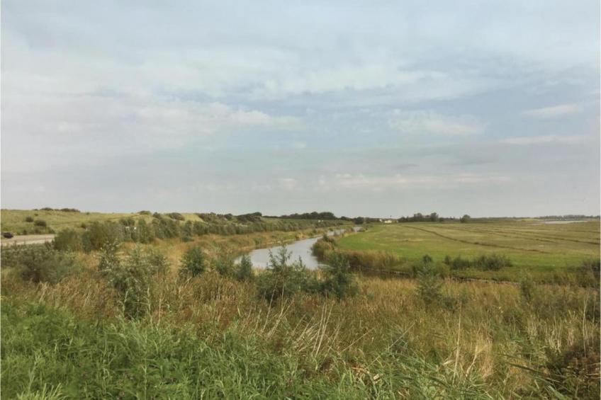 Het Platte Putje - Huisdier - nr 2 - foto 24