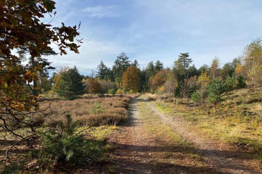 Dorpswoning Op Niveau 4 - foto 25