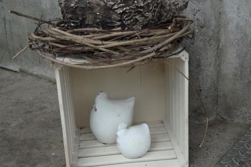 auf dem Bauernhof - foto 25