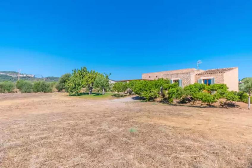 Pedra Viva (cala Bona) - foto 28