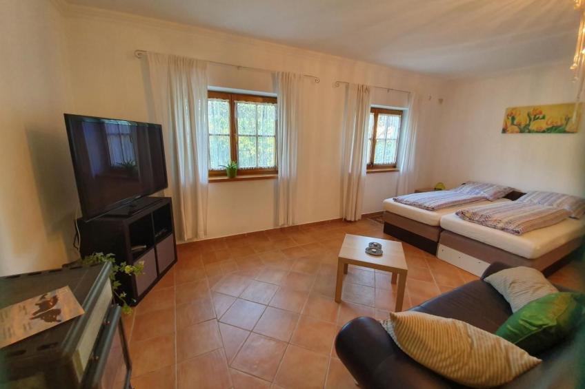 in Lócs mit Privatem Pool - foto 28