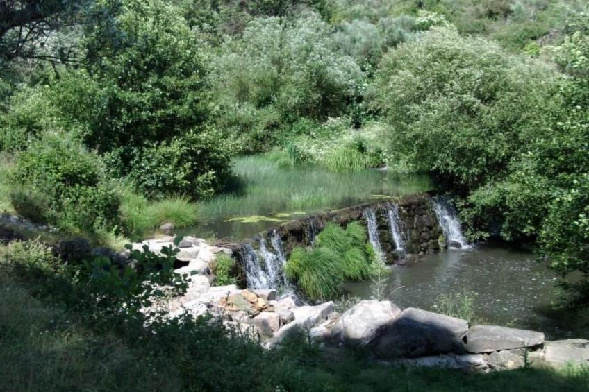 Ferien auf dem Bauernhof mit Weinberg - foto 30