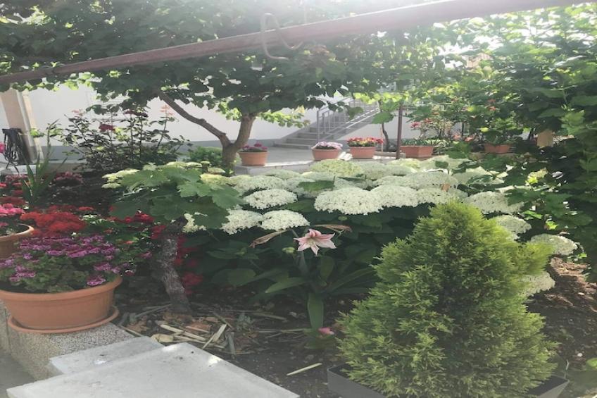 Apartments Villa Tanja - Two Bedroom Apartment with Terrace - foto 12