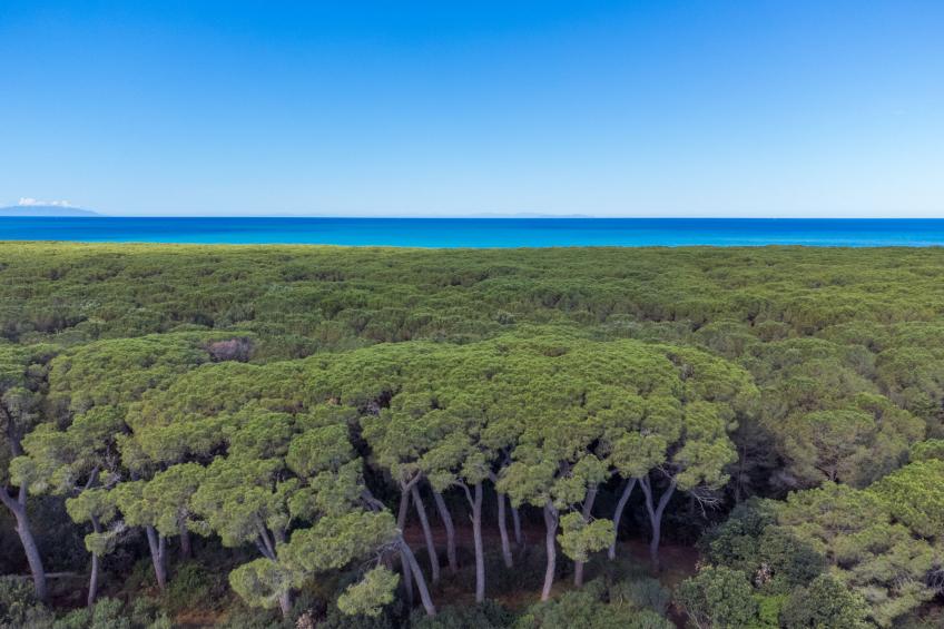 Borgo il Vallin delle Conche - foto 62