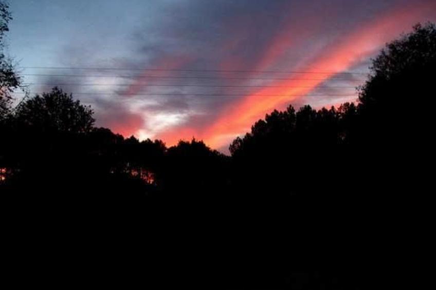 Gemütliches Ferienhäuschen im Grünen mit Terrasse - foto 18