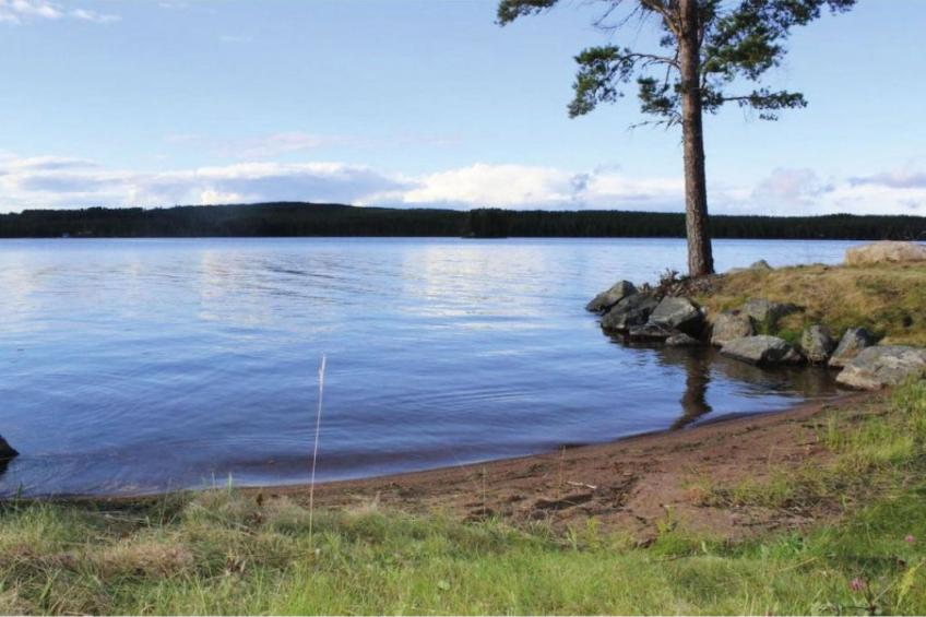 Häuser mit Seeblick Schweden - Rotes Haus - foto 47