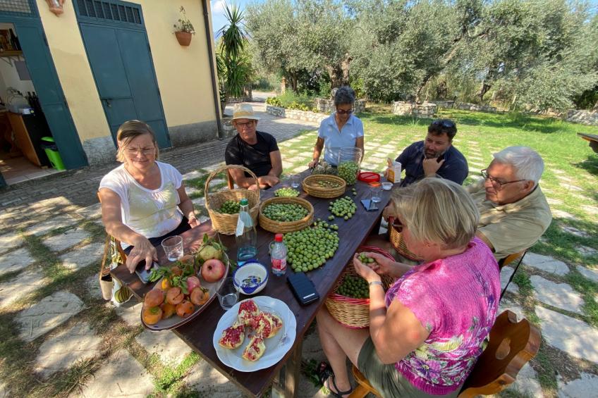 Großes Studio mit Terrasse mit Meerblick - foto 38