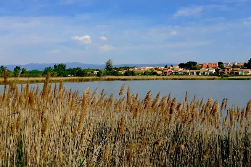 in La Livinière mit Großer Terrasse - foto 16