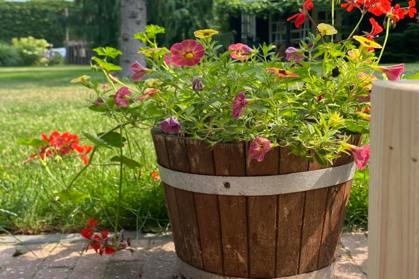 De Groninger Zeeuw - foto 51