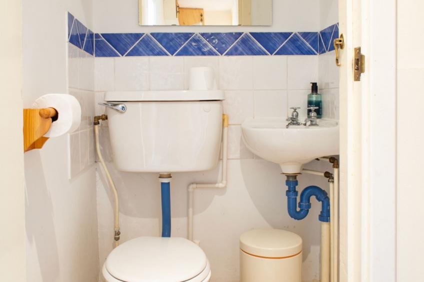 Blue Lobster - foto 36