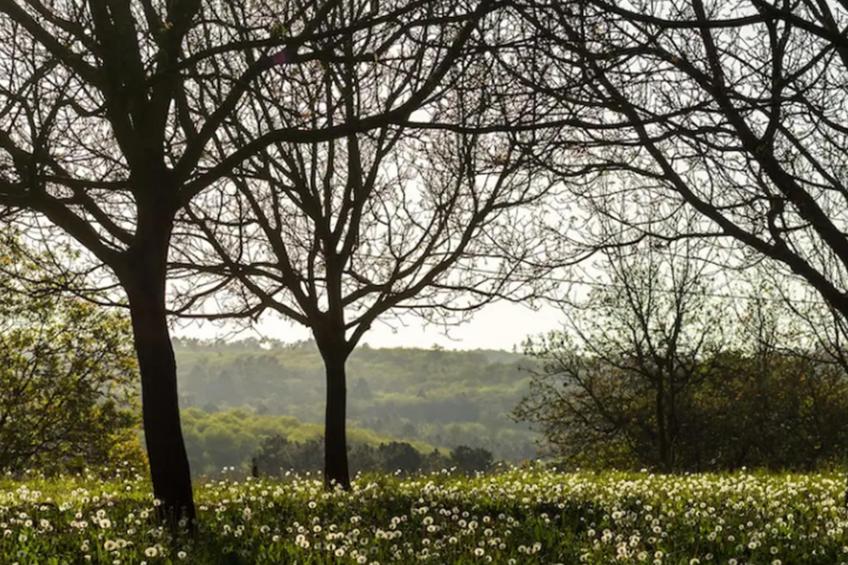 La Roque Haute - foto 4
