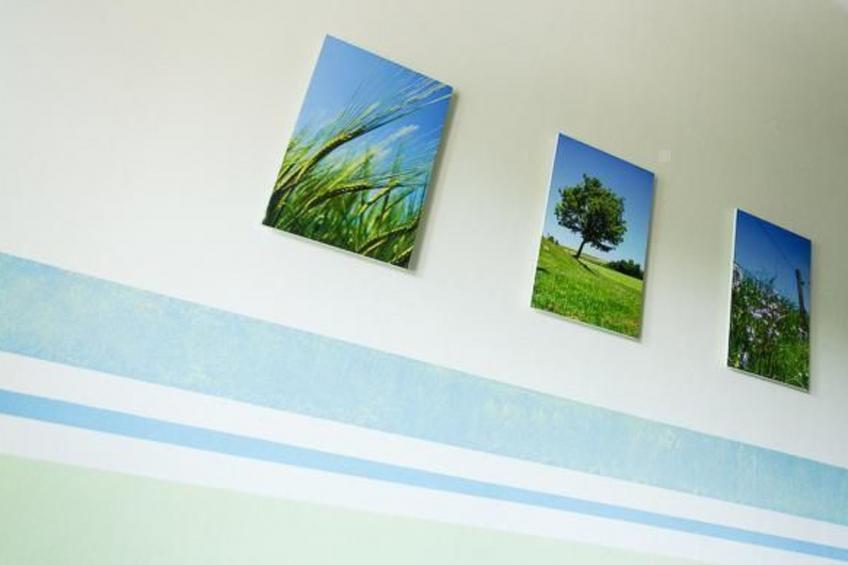 Am Rückerlhof-Katrin - foto 14