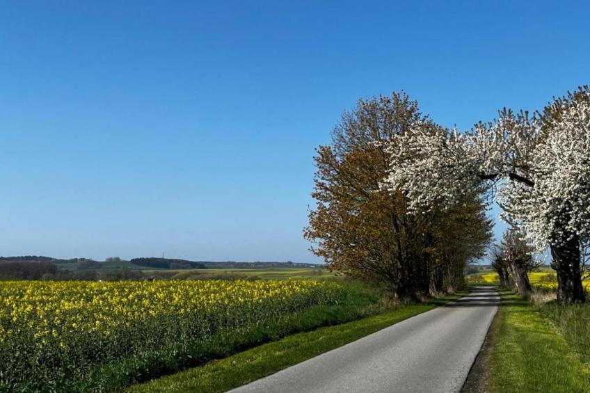 Ferienhaus Hohenkirchen - foto 38