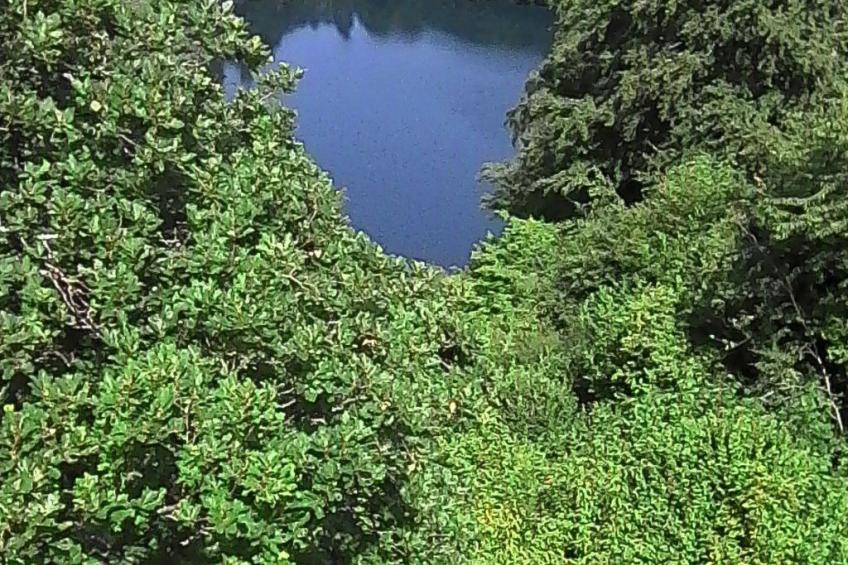 Elztalblick - foto 36