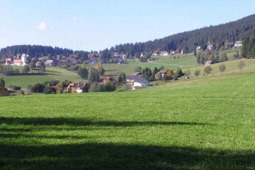41670 - foto 29