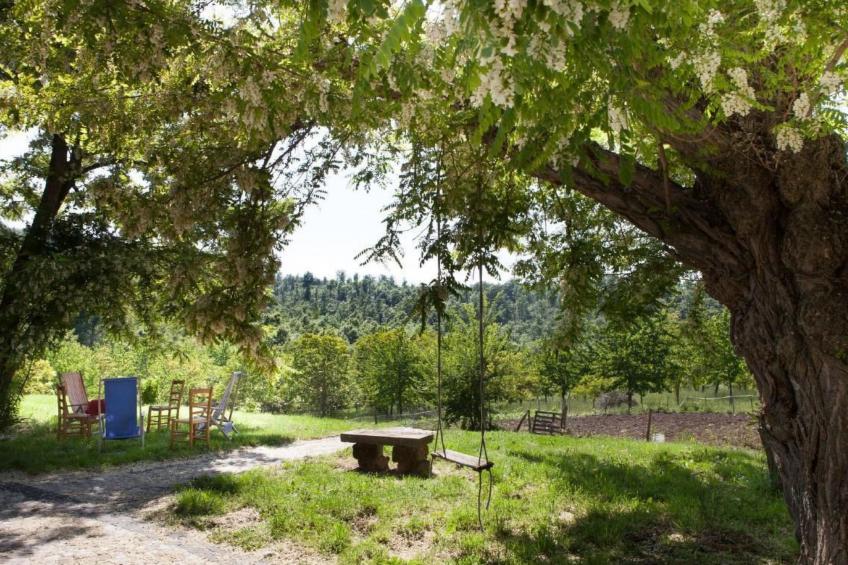 Wohnung Alice - foto 2