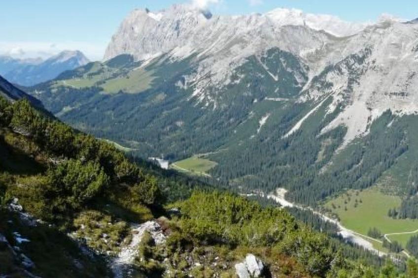 Haus Schönberg - foto 23