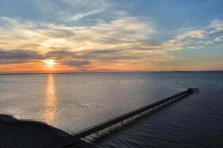 Oasi Bianca - foto 39