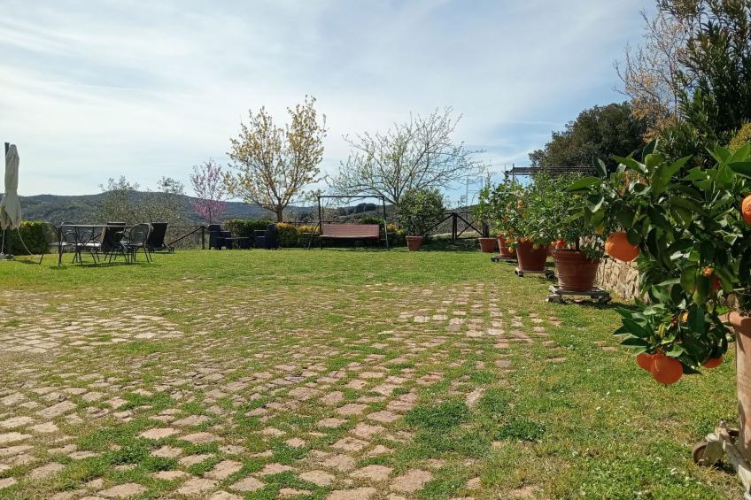 Marias Bauernhof - foto 16