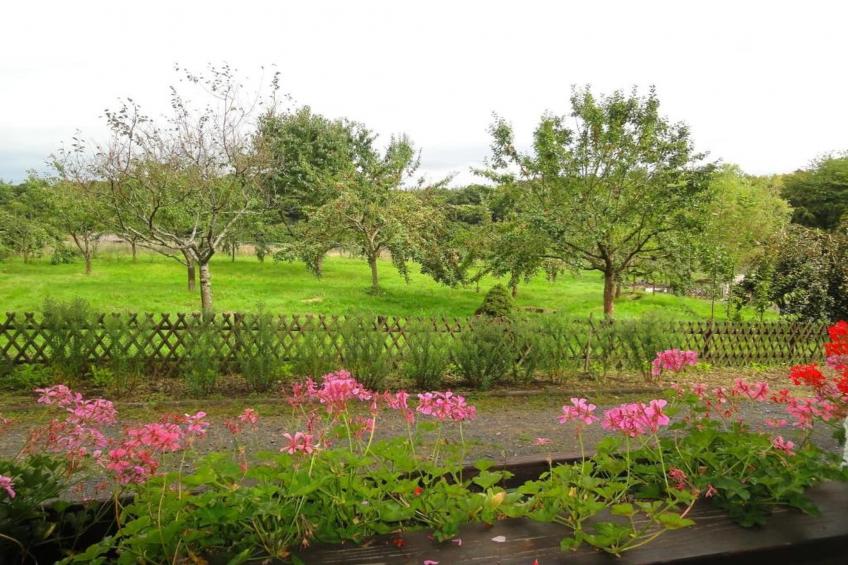 Heiderhof - Double Room Disability access - foto 33