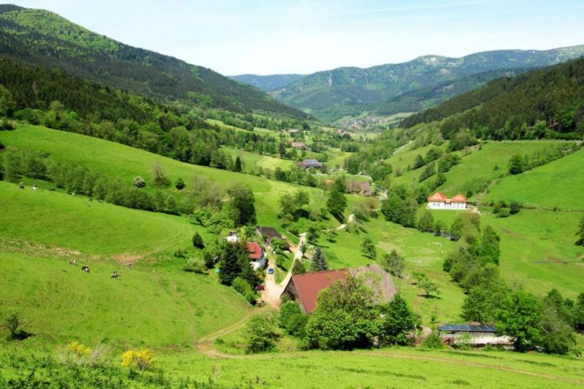 Neukirch - foto 31
