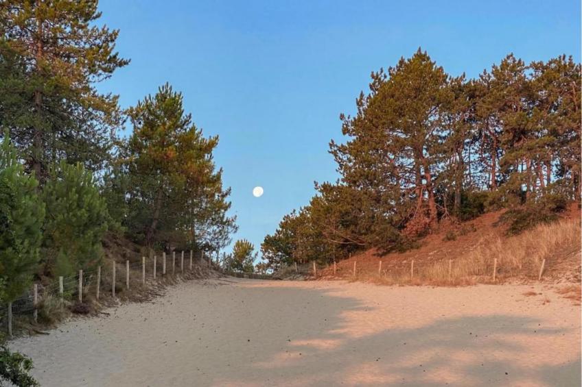 Bungalowpark de Horn - foto 36