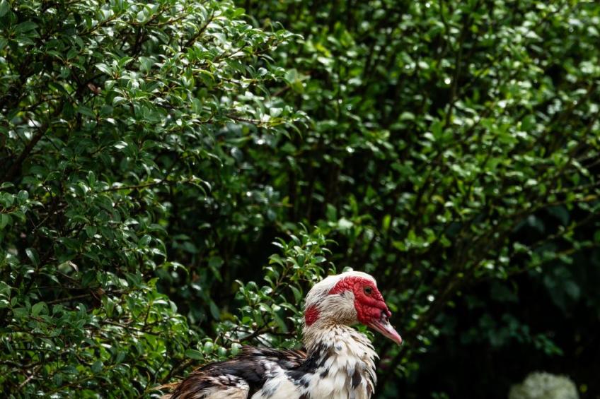 Suite Empire - foto 18