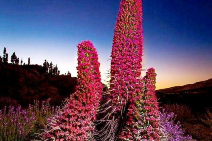 Luxuriöser Rückzugsort mit direktem Meerzugang und Pool - foto 79