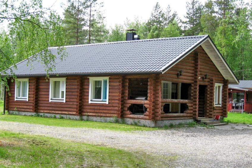 Koli, metsälä