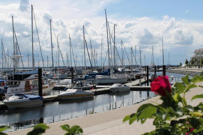 Im Grünen 1 - foto 26