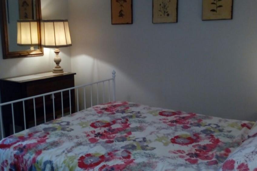 In den Weinberg eingetaucht - foto 5