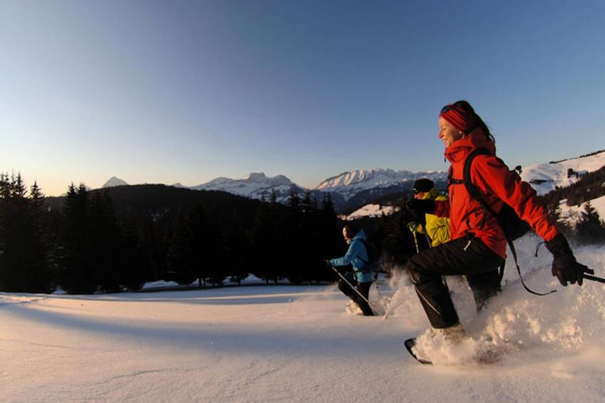 Chalet Le Buset - foto 7