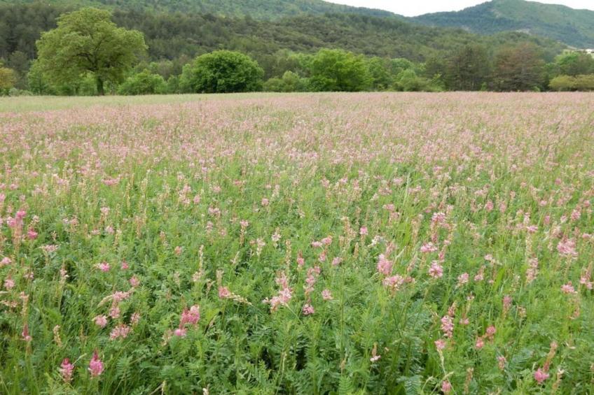 Maison de vacances - MARIGNAC-EN-DIOIS - foto 29