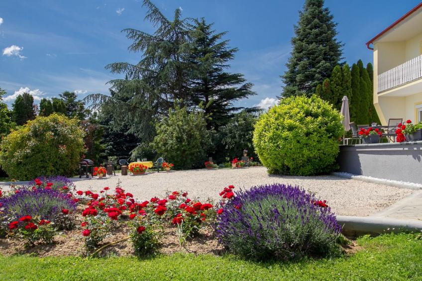 auf großem Gartengrundstück - foto 14