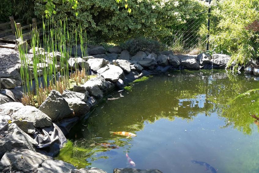 für sieben Personen - foto 13