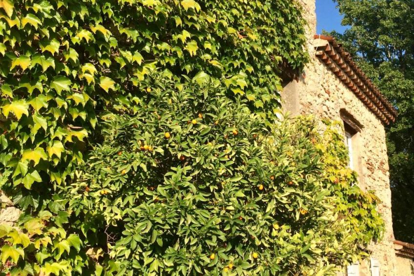 Bergerie de Peymeyan - foto 5