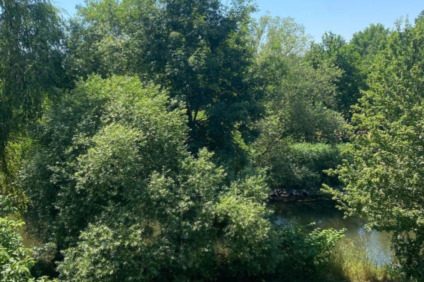 Appartement mit Balkon - foto 10