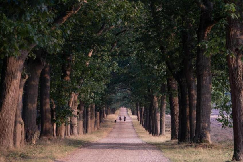 Buitenplaats Holten 20 - foto 31